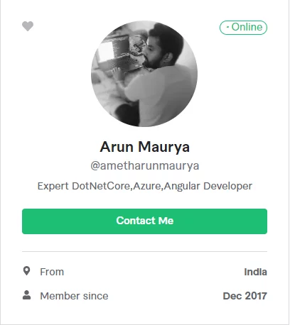 Fiverr Seller